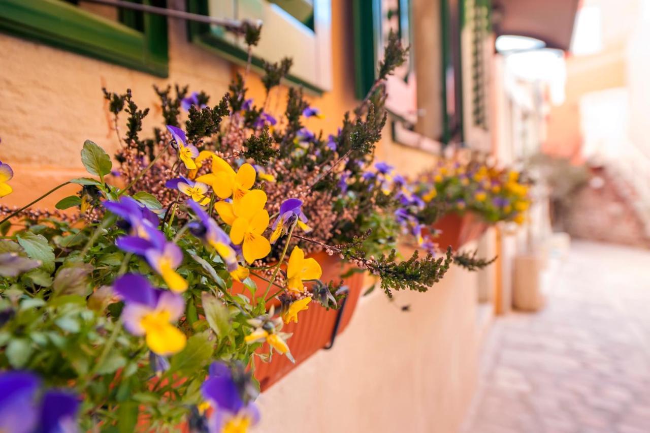 Guest House Sotto I Volti Centro Storico Rovinj Exterior foto